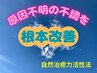 再来【根本改善コース】自然治癒力活性　キネシオロジー療法　120分