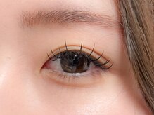 アイップル(eyepple)/フラットラッシュ120本