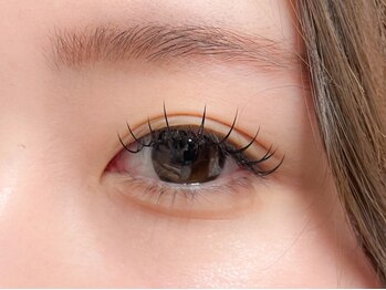 アイップル(eyepple)/フラットラッシュ120本