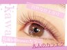  【全員】フラットラッシュ60本/ブラック/ブラウン3色￥4,000