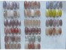 【HAND】【春夏】◇初回オフ無料◇パラジェル◇  　店頭デザインコース　