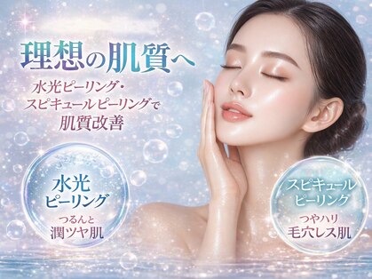 キララ(Kirara)の写真