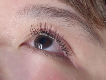 ウルカ アイラッシュ(uruka EYELASH)/フラットラッシュブラウン 180本