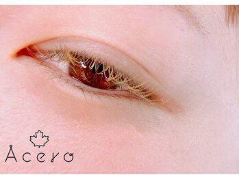 アチェロ つくば(Acero)/挑戦しやすいアースカラー