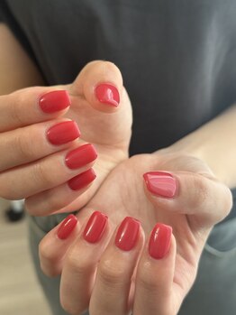 ソジョン(sojon)/ワンカラー