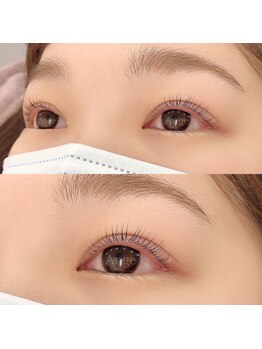 プライベートサロン アンジュ(Private Salon Ange)/セラムラッシュリフト [Cカール]