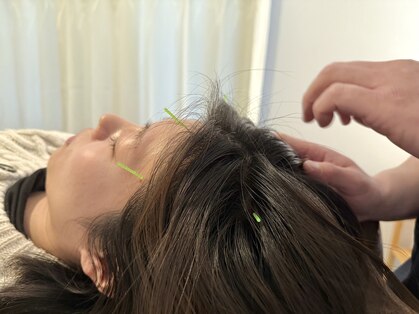 ポノ(Pono)の写真