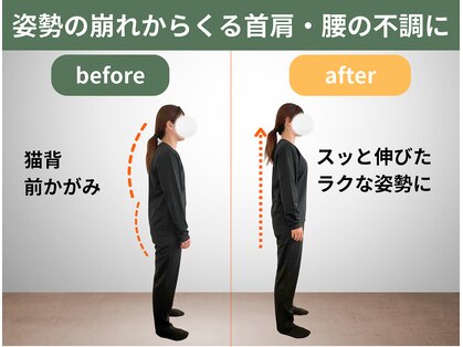 整体コンディショニング セレクトの写真