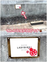 レディバード(Lady Bird)/駐車場