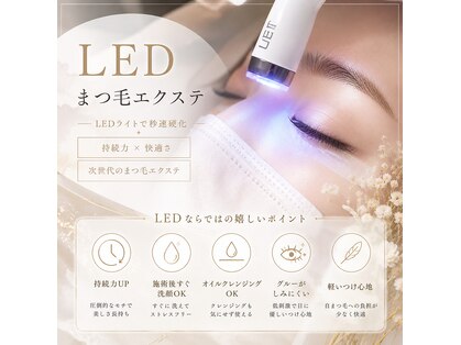 リノ(lino)の写真