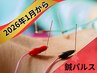 【期間限定】 鍼パルス 60分 10,000円