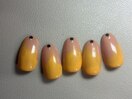 定額6500円