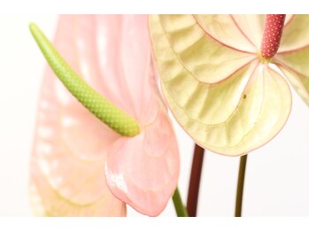 3731ピラティス(3731pilates)/