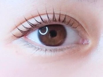 アイスティ(aisti)/