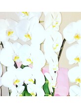 アイネイル(Ai Nail) 濱岡 