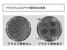 キュレイテッドスキン(CURATED SKIN)/