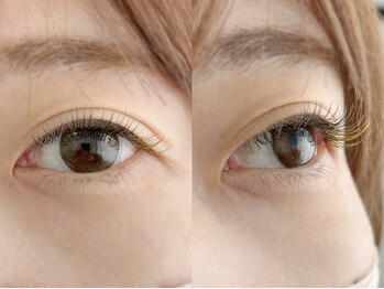 ムニ(muni)/LEDフラットラッシュ120本