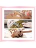 【贅沢美肌SET!】プラズマ肌質改善+国産美肌ハーブ+ヘッドスパ(30分)