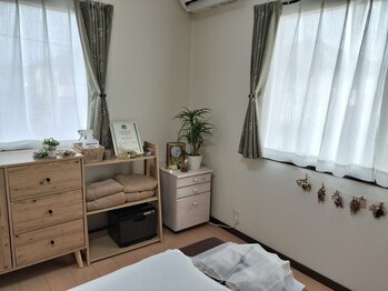 エキナセア(echinacea)/