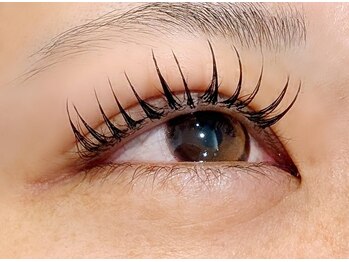 イロドリ(IRODORI)/フラットラッシュ120本