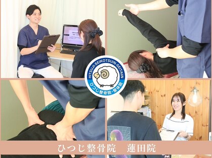 ひつじ整骨院 蓮田院の写真
