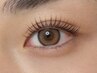 《新規》【品よく自然に垢抜け】 パリジェンヌラッシュリフト