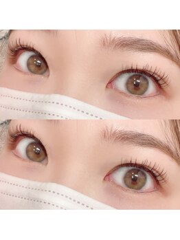 フーフロー(Fooflow)/フラットラッシュ120本