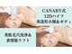 サロン ド キャナリィ(Salon de CANARY)の写真