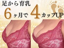 エクラパピヨン 荻窪(Eclatpapillon)