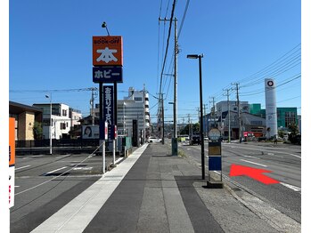 整体院 ヤモリの学校/