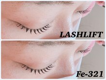 エフイーサンニーイチ(Fe-321)/