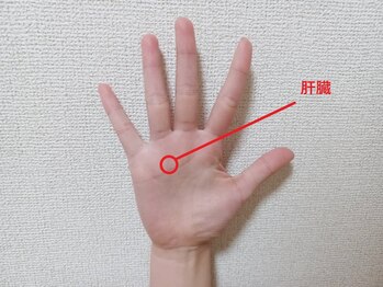 フェニーチェ(FENICE)/飲み会続きで肝臓が疲れている方