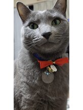 手もみ処 すっきり&nbsp;サカナシ 