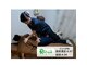 リフレッシュ(Refresh)の写真