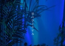 星のひとやすみ