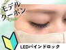 【モデル募集】LEDバインドロック　80束　【0円】