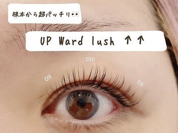 アイブロウ アンド アイラッシュ アイランド 鎌倉(ISLAND)/UP Word Lush ♪