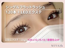 ミヤビ 梅島店(MIYA美)/single