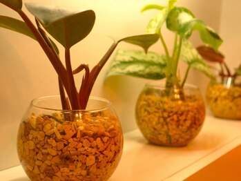 シェリ(Cheri)/町田駅徒歩5分♪アクセス抜群!!