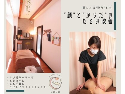 しましまの写真