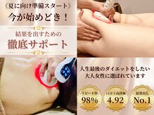 ベルホワイト(Belle White)