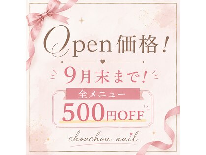 シュシュ(chouchou)の写真