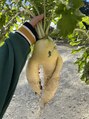 蕨整体院 実家の抜きたて大根!畑は酵素がの宝庫!