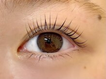 プエルタ ボーテ(PUERTA BEAUTE)/【まつげパーマ】メーテルロッド