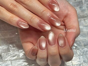 新色マグネット