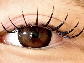 リリー(Liliy)/シングルラッシュ140本 naomi