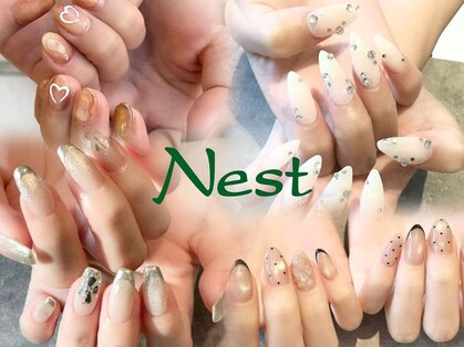 ネスト(Nest)の写真
