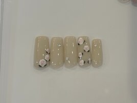 【Hand】トレンド/シーズン 定額