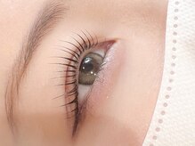 ロイズラッシュ(Roy's lash)