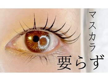 ルピナス(salon de Lupinus)